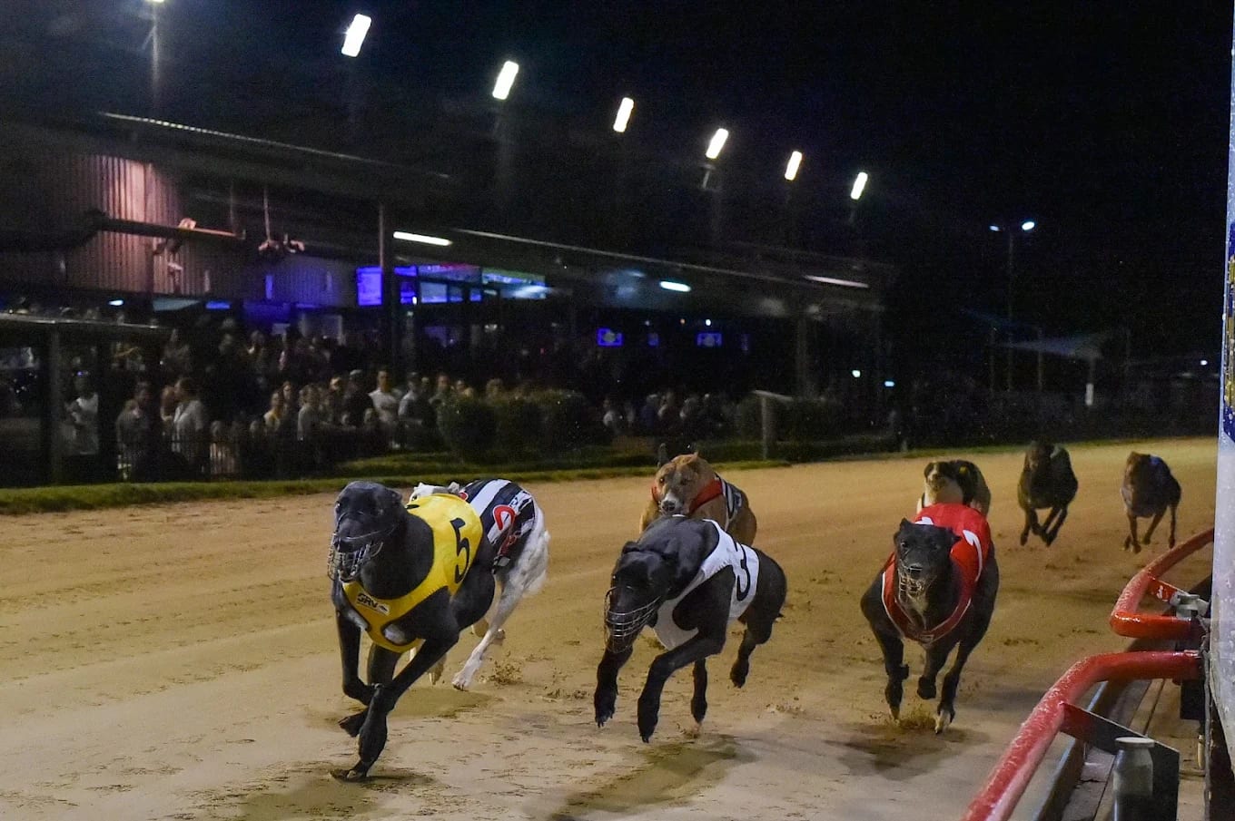 Sale Greyhound Racing Club — TAB & gaming bar renovation